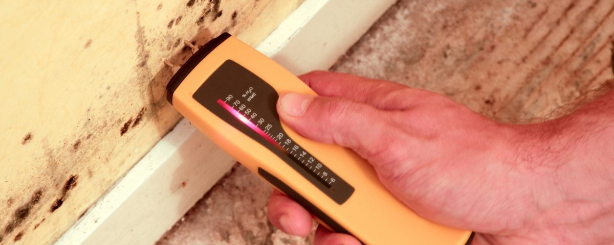 Capillary rising damp