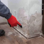 remontée capillaire