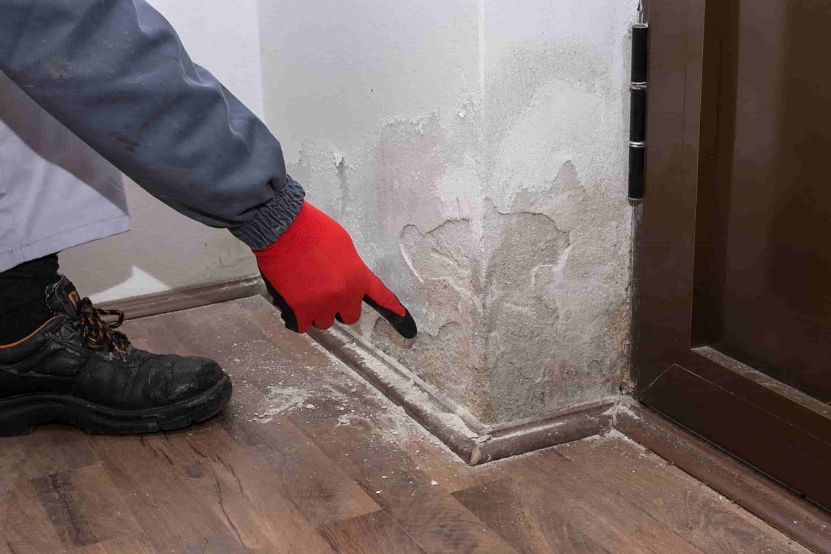 anti-damp-device