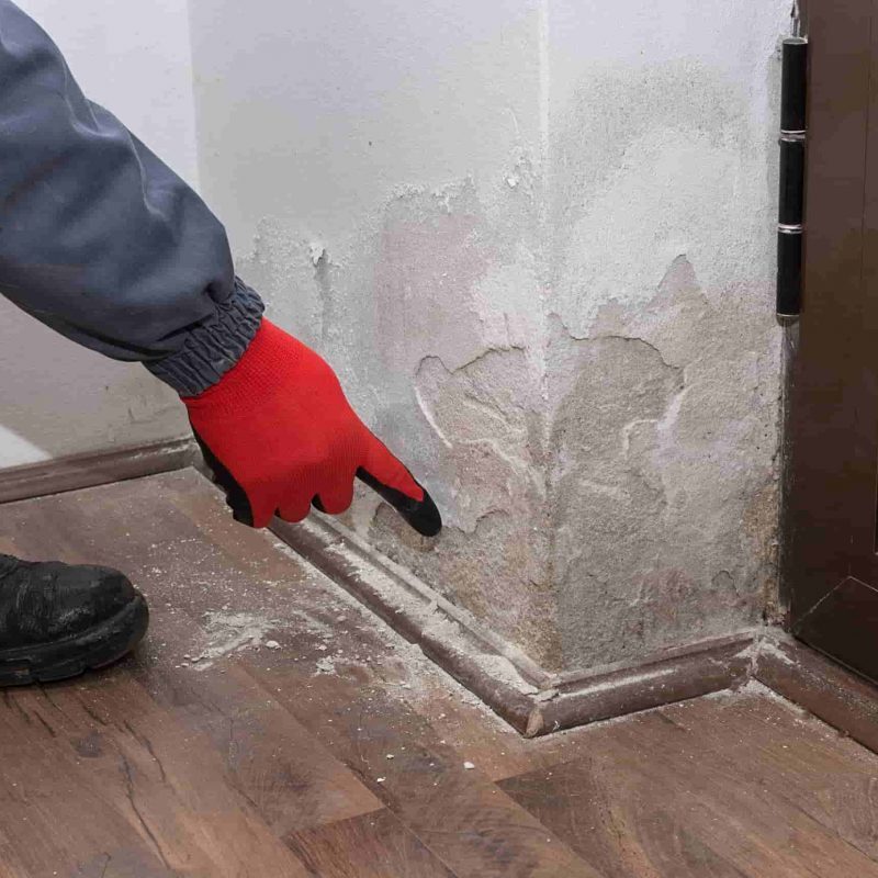 anti-damp-device