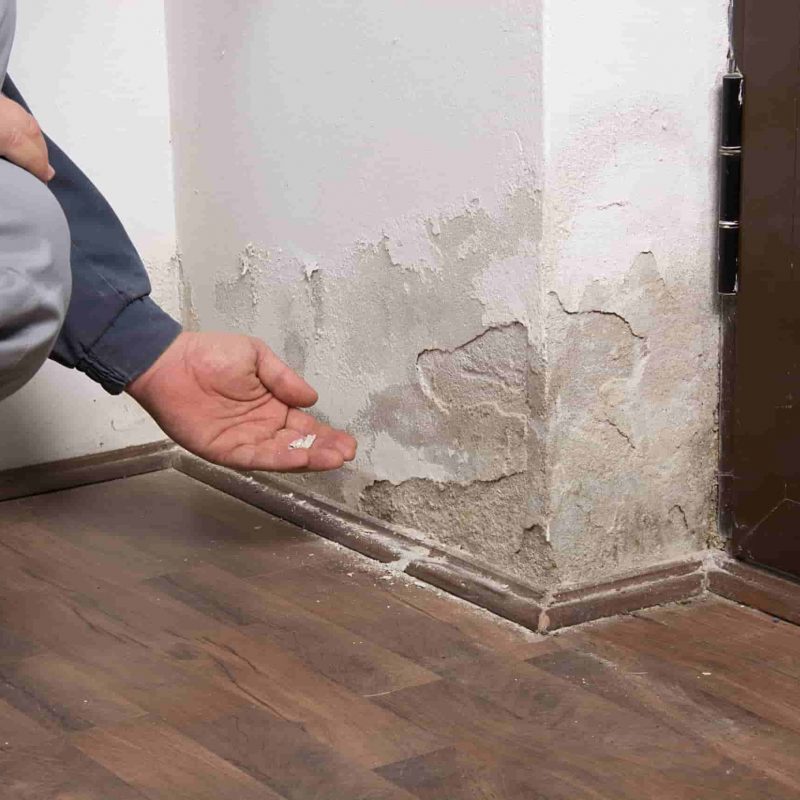 anti-damp-device