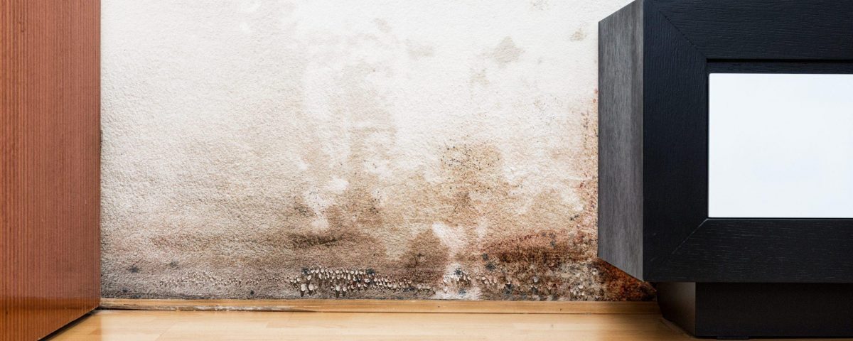 Penetrating damp