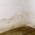 Penetrating damp