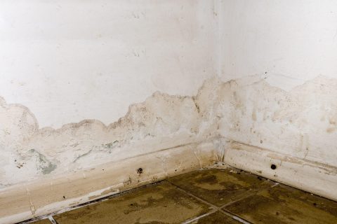 Penetrating damp