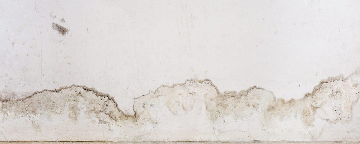 rising damp