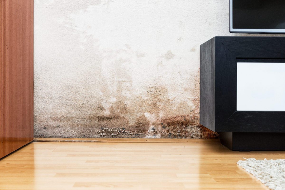 Penetrating damp