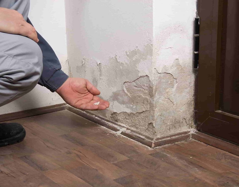 wall-drying-solution