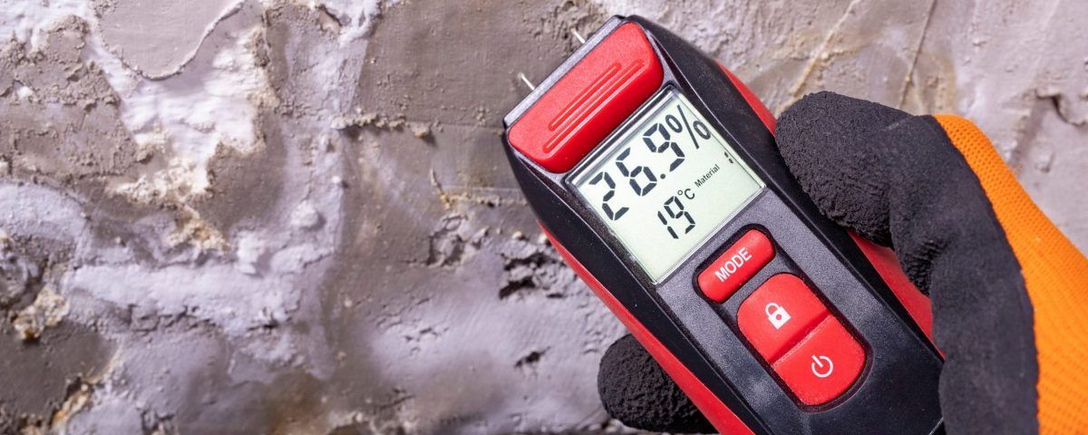 Capillary rising damp