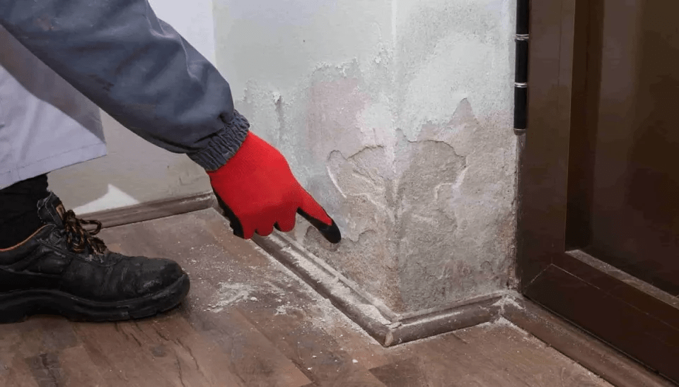 remontée capillaire