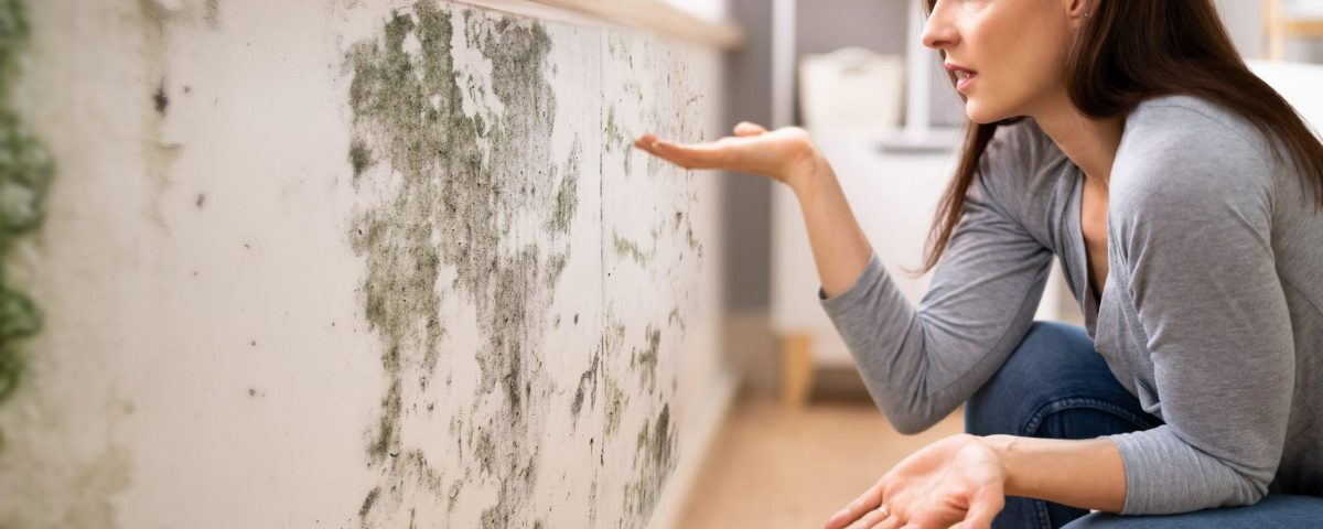 rising damp
