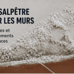salpetre-sur-les-murs