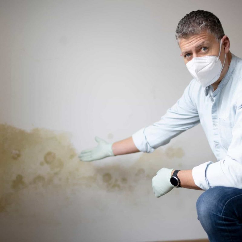 anti-damp-device