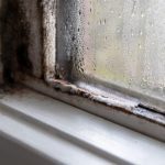 mold on the walls