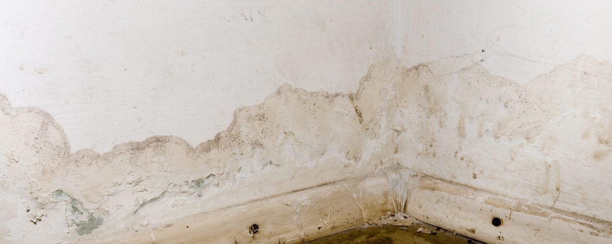 Penetrating damp